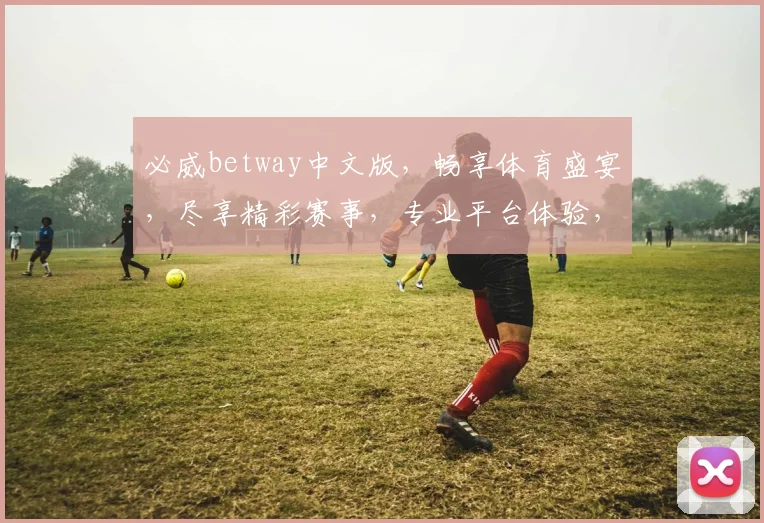 必威betway中文版，畅享体育盛宴，尽享精彩赛事，专业平台体验，尽在必威