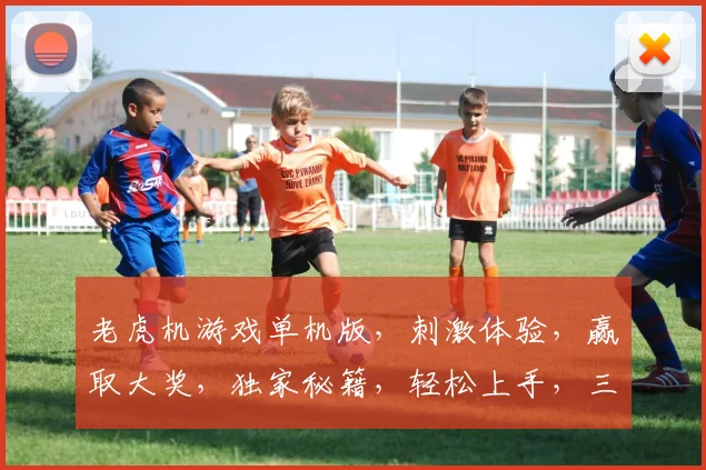 老虎机游戏单机版，刺激体验，赢取大奖，独家秘籍，轻松上手，三重惊喜，不容错过