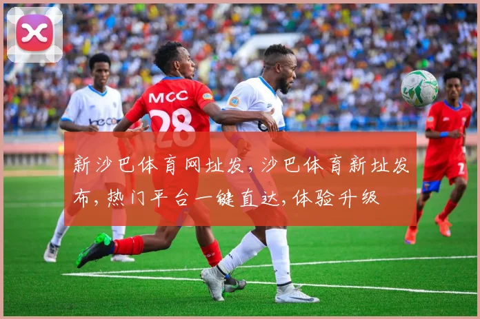 新沙巴体育网址发,沙巴体育新址发布,热门平台一键直达,体验升级