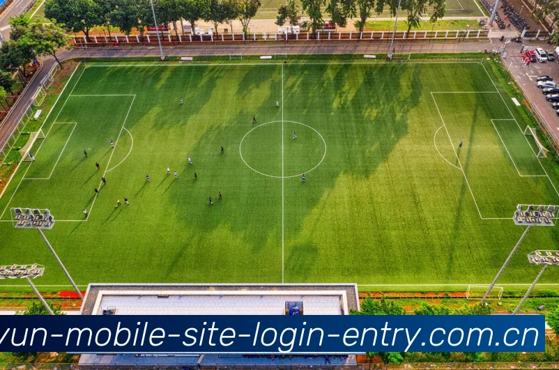 App界面